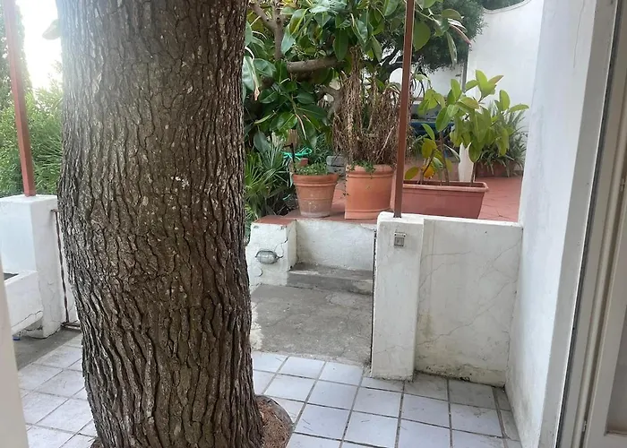 Apartament Anna's Terrace - Via Reginaldo Giuliani 13 *